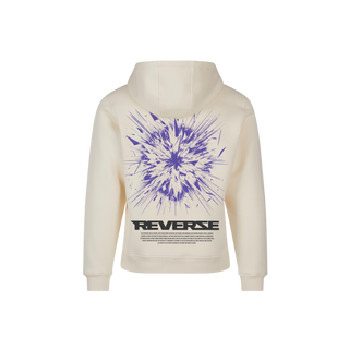 Reverze