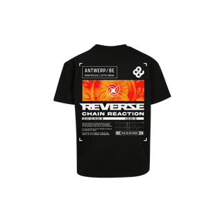 Reverze